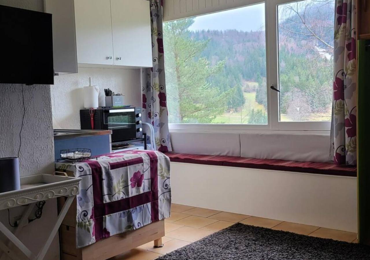 Studio Agreable Et Lumineux Villard-de-Lans Exteriér fotografie